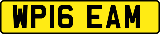 WP16EAM