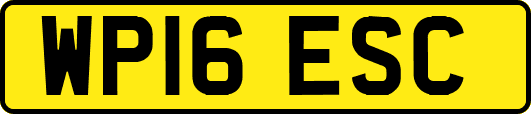 WP16ESC