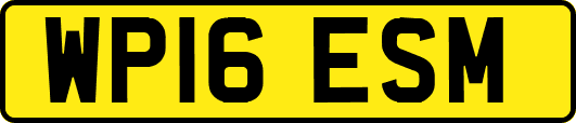 WP16ESM
