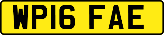 WP16FAE
