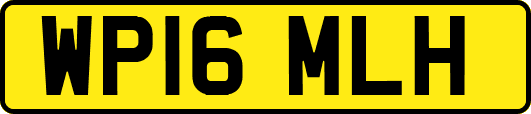 WP16MLH