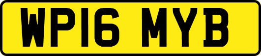 WP16MYB