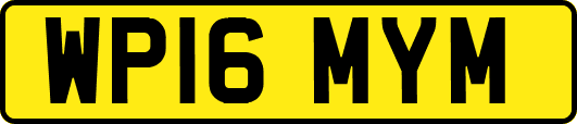 WP16MYM