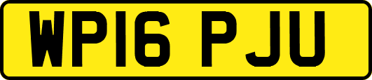 WP16PJU