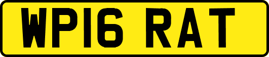 WP16RAT