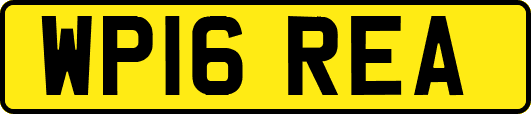WP16REA