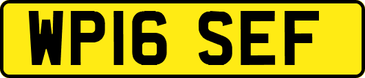 WP16SEF