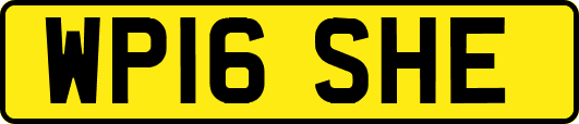 WP16SHE