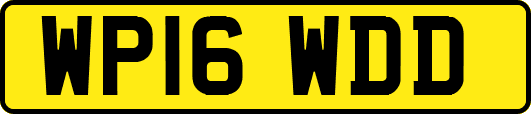 WP16WDD