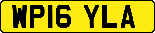 WP16YLA