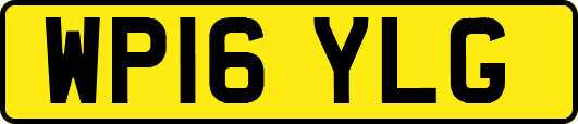 WP16YLG