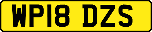 WP18DZS