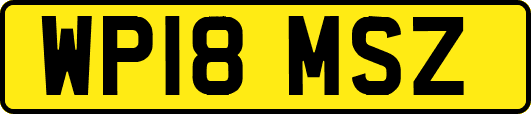 WP18MSZ