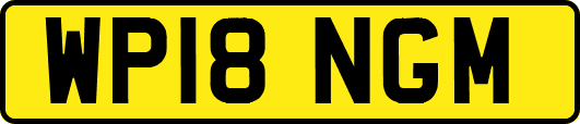 WP18NGM