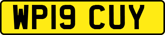 WP19CUY