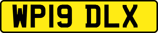 WP19DLX