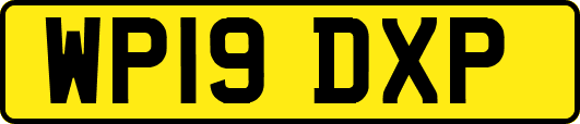 WP19DXP