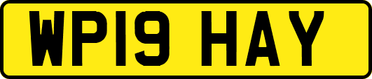 WP19HAY