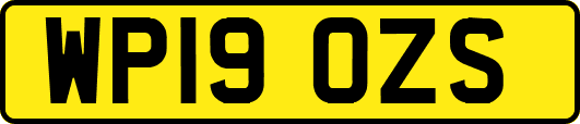 WP19OZS