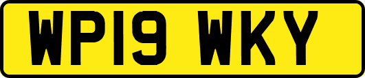 WP19WKY