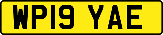 WP19YAE