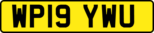 WP19YWU
