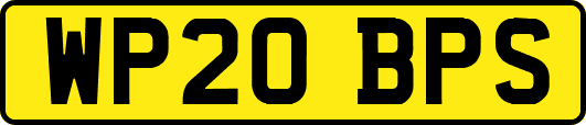 WP20BPS