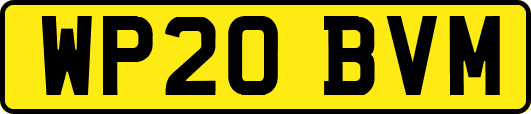 WP20BVM