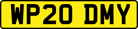 WP20DMY