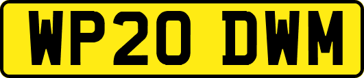 WP20DWM