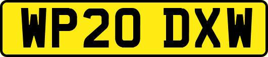 WP20DXW