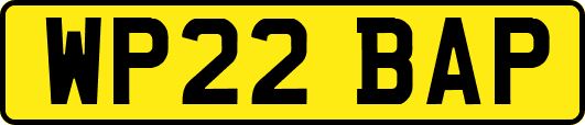 WP22BAP