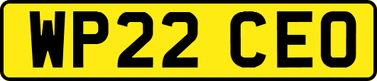 WP22CEO
