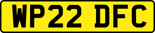 WP22DFC