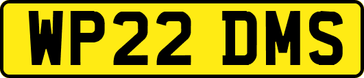 WP22DMS