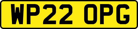 WP22OPG