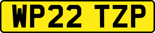 WP22TZP