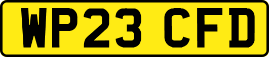 WP23CFD