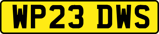 WP23DWS