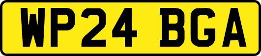 WP24BGA