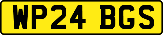 WP24BGS