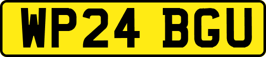 WP24BGU