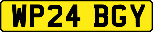 WP24BGY