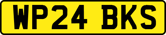 WP24BKS