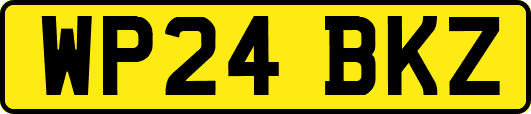 WP24BKZ