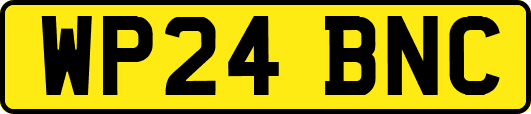 WP24BNC