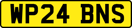 WP24BNS