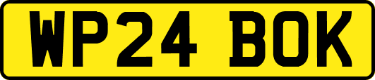 WP24BOK