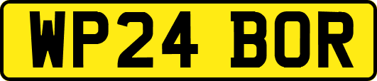 WP24BOR