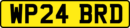 WP24BRD